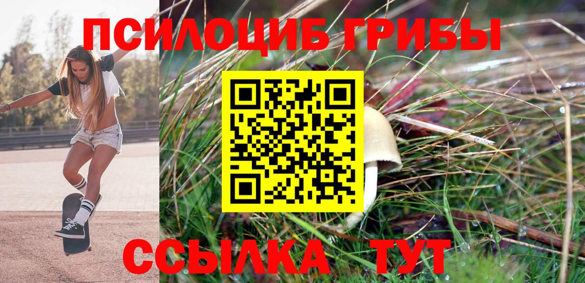 Псилоцибиновые грибы Psilocybine cubensis  Вход с VPN  Мичуринск 